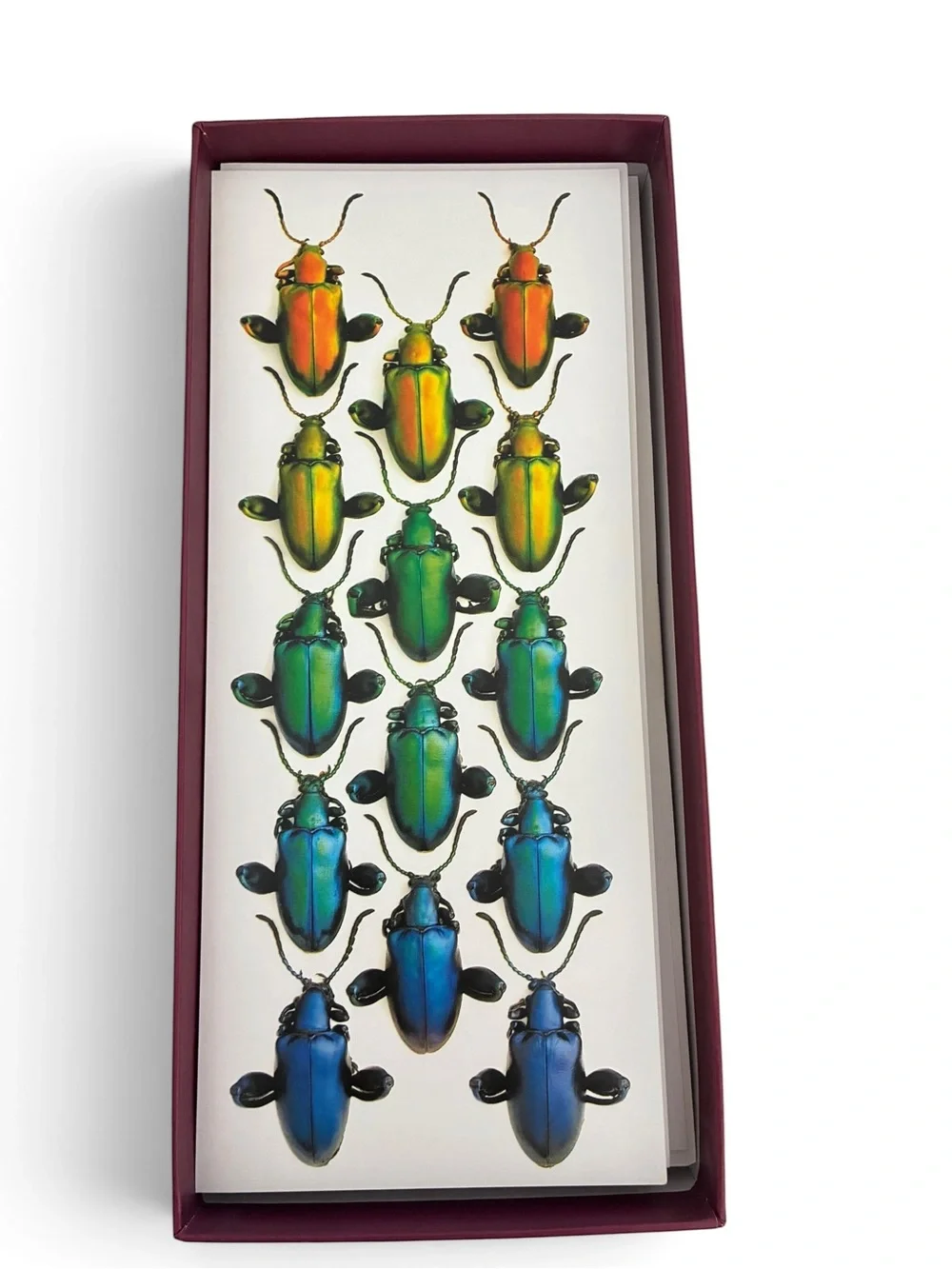 Christopher Marley Exquisite Creatures Panoramic Boxed Notecards Pomegranate